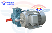 YE3系列 三相異步電機(jī)